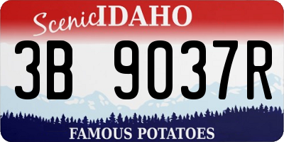 ID license plate 3B9037R
