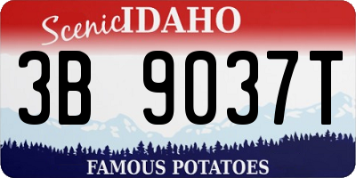 ID license plate 3B9037T