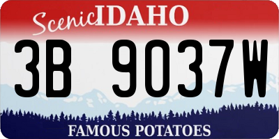 ID license plate 3B9037W