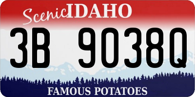 ID license plate 3B9038Q