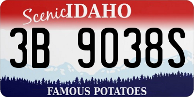 ID license plate 3B9038S