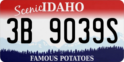 ID license plate 3B9039S