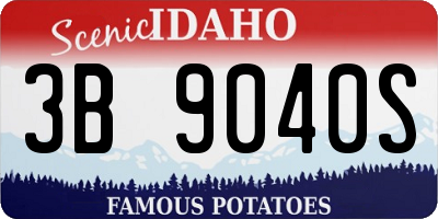 ID license plate 3B9040S