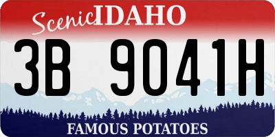 ID license plate 3B9041H