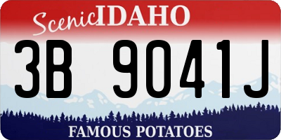 ID license plate 3B9041J