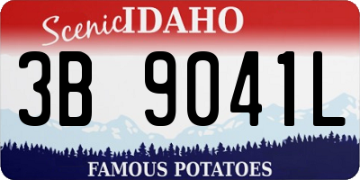 ID license plate 3B9041L