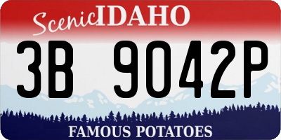 ID license plate 3B9042P