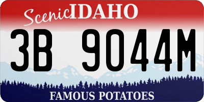 ID license plate 3B9044M