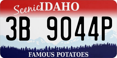 ID license plate 3B9044P