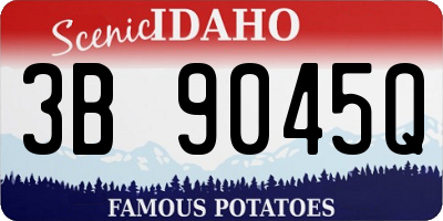 ID license plate 3B9045Q