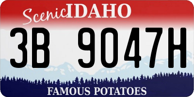 ID license plate 3B9047H