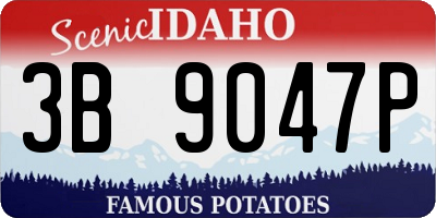 ID license plate 3B9047P