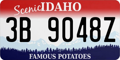 ID license plate 3B9048Z