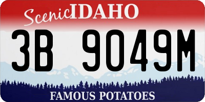 ID license plate 3B9049M