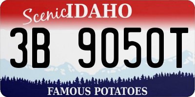 ID license plate 3B9050T
