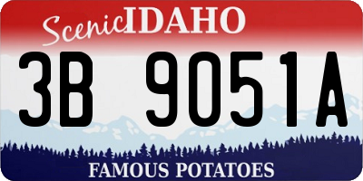ID license plate 3B9051A
