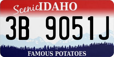ID license plate 3B9051J