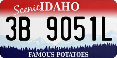 ID license plate 3B9051L