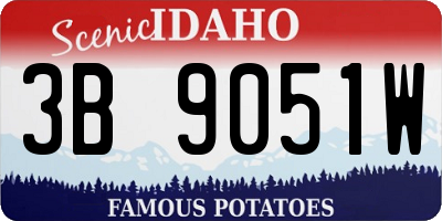 ID license plate 3B9051W