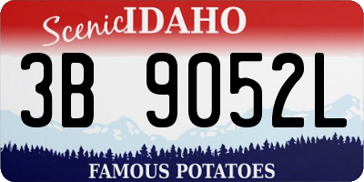 ID license plate 3B9052L