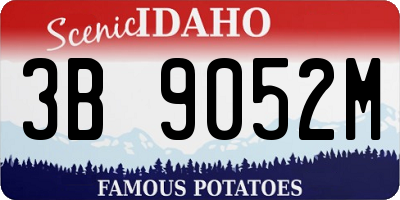 ID license plate 3B9052M