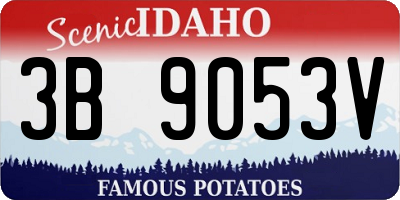 ID license plate 3B9053V