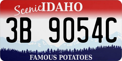 ID license plate 3B9054C