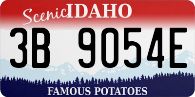 ID license plate 3B9054E