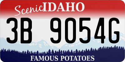 ID license plate 3B9054G