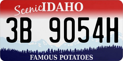 ID license plate 3B9054H