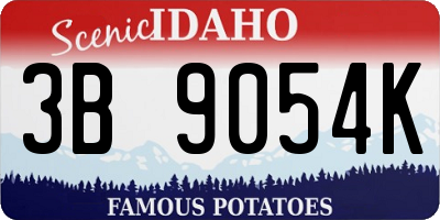 ID license plate 3B9054K