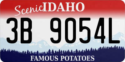 ID license plate 3B9054L