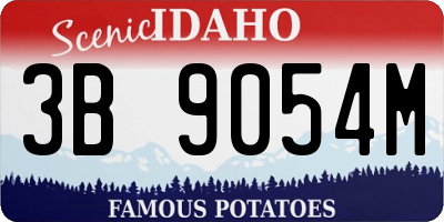 ID license plate 3B9054M
