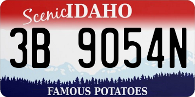 ID license plate 3B9054N