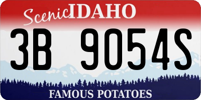 ID license plate 3B9054S