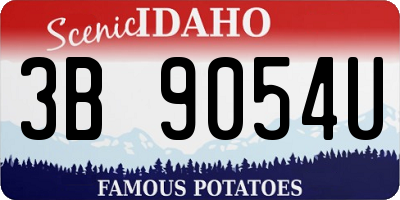 ID license plate 3B9054U