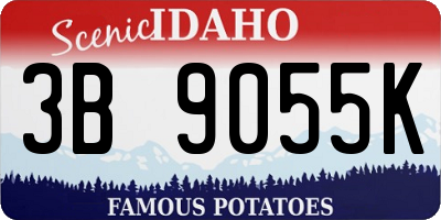 ID license plate 3B9055K