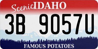 ID license plate 3B9057U