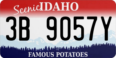 ID license plate 3B9057Y