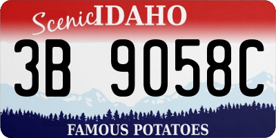 ID license plate 3B9058C