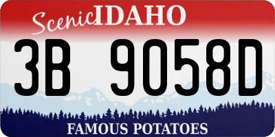 ID license plate 3B9058D