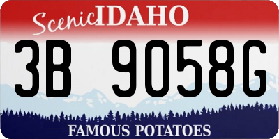 ID license plate 3B9058G