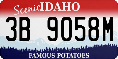 ID license plate 3B9058M