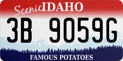 ID license plate 3B9059G