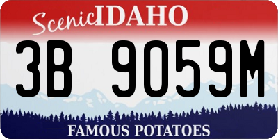 ID license plate 3B9059M