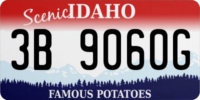 ID license plate 3B9060G
