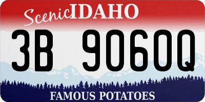 ID license plate 3B9060Q
