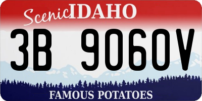 ID license plate 3B9060V