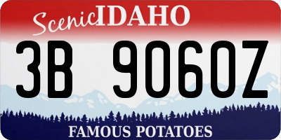 ID license plate 3B9060Z