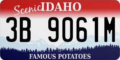 ID license plate 3B9061M